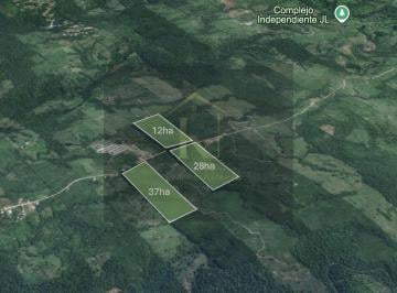 Terreno / Lote , Pedro Vicente Maldonado · Vendo 77 Hectáreas Planas en El Sector de Paraíso Alto en Pedro Vicente Maldonado