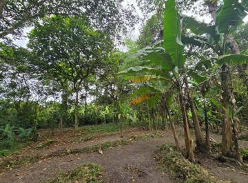 Terreno / Lote , Manta · Terreno de Venta en Manta Zona Sur Pacoche