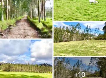 Terreno / Lote , Quito · Pintag – Sector San Agustín | Venta Excelente Propiedad de 8.72 Hectáreas
