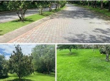 Terreno / Lote · 1551m² · Terreno en Venta en La Urbanización La Vieja Hacienda