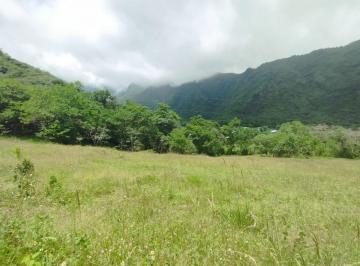 Terreno / Lote · 156000m² · Terreno en Mitad del Mundo