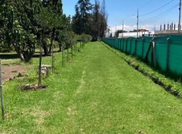 Hacienda-Quinta , Quito · Hacienda - Quinta de 81000 m² en Venta en Yaruqui