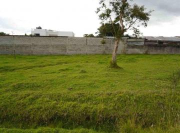 Terreno / Lote , Quito · Terreno en Venta Sangolqui Sector Inchalillo