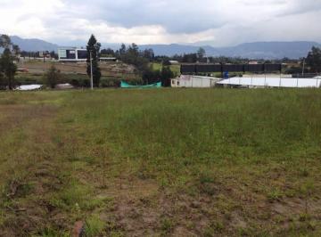 Terreno / Lote · 50000ha · Venta de Terreno Sector Tababela