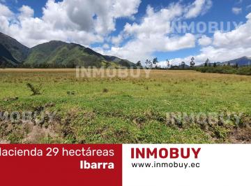 Hacienda-Quinta , Ibarra · Venta de Hacienda de 40 Hectáreas en Ibarra