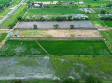 Terreno / Lote · 9537m² · Terreno en Venta Vía Al Pan (Samborondón – Yaguachi)