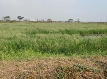 Terreno / Lote · 1375m² · Vendo Terreno 1375 m², Hipódromo Buijo, Sector C