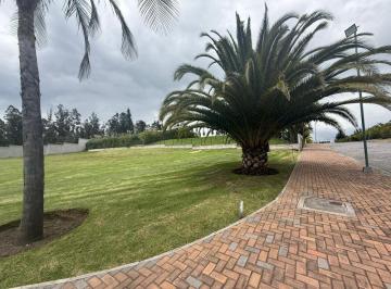 Terreno / Lote , Quito · Se Vende Terreno en Puembo