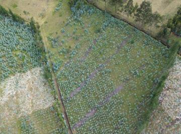 Terreno / Lote , Cayambe · Se Vende Terreno en Cayambe Santa Clara de Milan