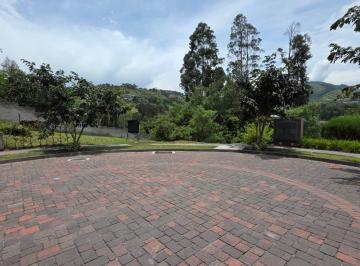 Terreno / Lote · 1310m² · En Venta Terreno en Urbanización Privada - Sector Tumbaco