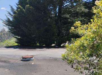 Terreno / Lote · 300m² · 1 Habitación · 29 Estacionamientos · Sur Lulucoto, Terreno en Renta, 3.000 m²