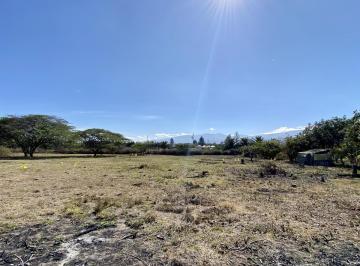 Terreno / Lote · 10ha · Vendo 3 Últimos Terrenos Desde 1.000 m² a $160 C/m² en Puembo (Ubicación Privilegiada)