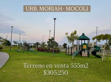 Terreno / Lote , Guayaquil · 7012. Urb. Moriah - Samborondon Km6 Mocoli, Vendo Terreno Area 555 m², $305.250.