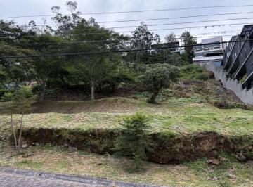 Terreno / Lote , Quito · Vendo Hermoso Terreno en Exclusiva Urbanización, Cumbaya