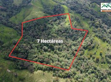 Terreno / Lote , Los Bancos · Finca de 7 Hectáreas en San Miguel de Los Bancos