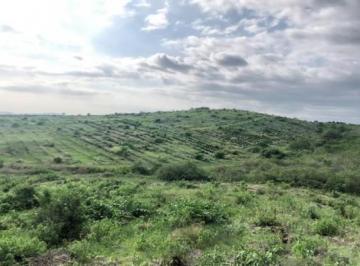 Terreno / Lote · 1ha · Vendo Tierra Agricola con Infraestructura en Guayaquil