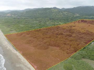 Terreno / Lote · 100m² · Vendo Macrolote de 20 Ha en Sector de Ayampe Ecuador