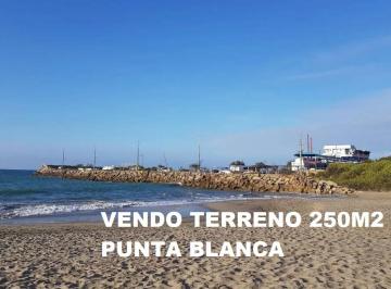 Terreno / Lote , Punta Blanca · Terreno de 250 m² en Venta en Punta Blanca