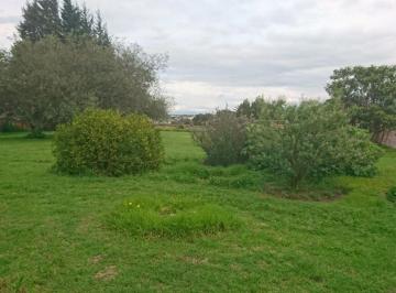 Terreno / Lote , Quito · Venta de Terreno en Tumbaco Cerca de La Ruta Viva Altura de La Morita
