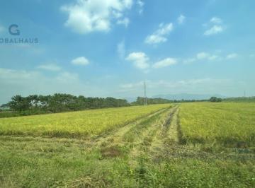 Hacienda-Quinta · 20m² · Venta de Finca Arrocera Al Sur de Naranjal, 19.89 Ha m. G.