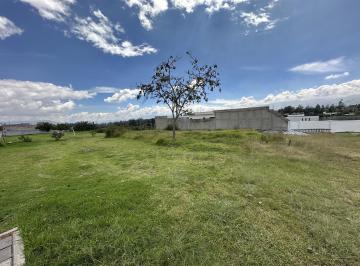Terreno / Lote · 439m² · Terreno en Puembo Dentro de Urbanizaciòn Privada 439 Mtrs2 Plano