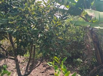 Terreno / Lote , Quito · Terreno de 250 m² con Casa y Frutales - Guayllabamba - Sector Chaquipamba
