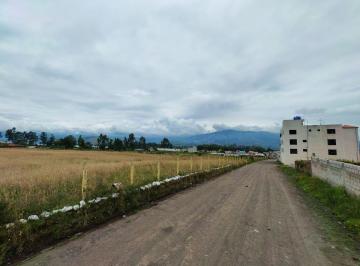 Terreno / Lote , Tabacundo · Vendo 18.000 m² Planos en La Ciudad de Tabacundo con Servicios. Ideal Lotización o Urbanización.