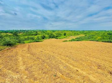 Terreno / Lote , Zapotillo · Vendo 12 Ha con Riego en Zapotillo Loja