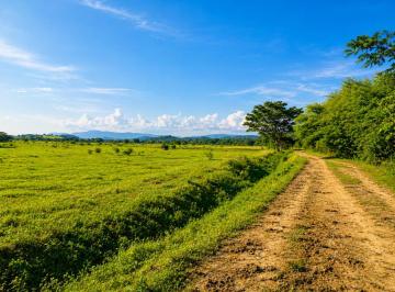 Hacienda-Quinta · 680000m² · Finca Productiva en Venta | 68 Hectáreas, Petrillo