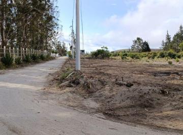 Terreno / Lote , Pedro Moncayo · Venta de Terreno Malchingui, San Juan 1000 m²