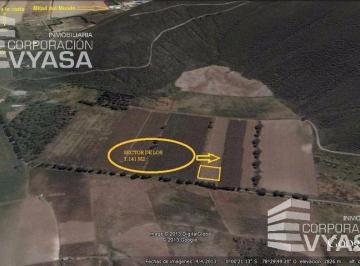 Terreno / Lote · 7142m² · Calacalí, Terreno en Venta, 7142 m²