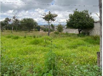 Terreno / Lote , Quito · Tumbaco Terreno en Venta de Oportunidad