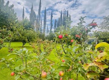 Hacienda-Quinta , Quito · Preciosa Quinta Puembo: 2.428 m² con Arboles y Frutales