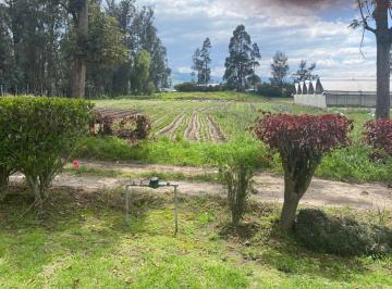 Terreno / Lote , Quito · Sector Aeropuerto Tababela Terreno de Venta 37.450 m²