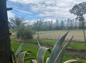 Terreno / Lote , Quito · Sector Aeropuerto Tababela Terreno de Venta 37.450 m²