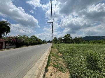 Terreno / Lote , Bolívar · Terreno de Venta en Calceta Sitio Arrastradero