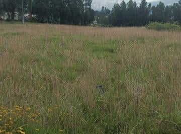 Terreno / Lote , Quito · Terreno en Venta Sector Tabacundo - Floricola o Finca