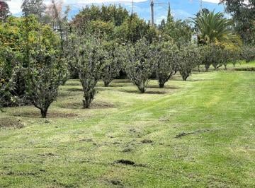 Hacienda-Quinta de 3 habitaciones, Quito · Linda Quinta Venta Valle de Los Chillos