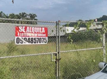 Terreno / Lote , Guayaquil · Alquiler de Terreno en La Carlos Julio Arosemena, 800 m