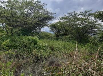 Terreno / Lote Venta 6200m² · De Oportunidad Vendo Terreno en Urcuquí, Vía Asfaltada! Plusvalía