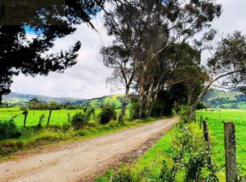 Hacienda-Quinta · 600ha · Hacienda en Venta Machachi 98% Plana