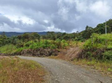 Terreno / Lote · 128000m² · Terreno en Venta12.8 Ha, El Cielito, Canton Mira, Provincia del Carchi