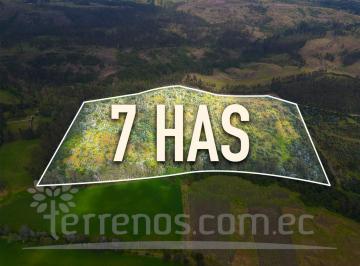 Terreno / Lote · 70000m² · Terreno en Venta 7 Ha Cerca a La E 35