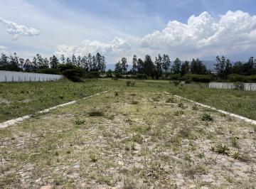 CALLES INTERNAS DE LOTIZACION · Venta 8 Terrenos en Puembo en Lotización de Primara