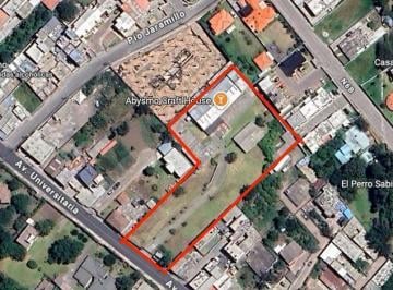 Terreno / Lote · 5107m² · Venta Terreno - Tumbaco - Av Universitaria - Villa Vega - Mcl