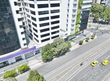 Oficina comercial , Quito · Renta de Oficina La Carolina 159 m²
