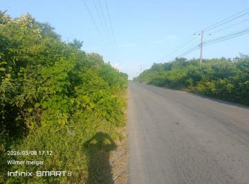 Terreno / Lote , Guayaquil · Hacienda Agrícola y Forestal 21.03 Has con Teca – Chongón, Guayaquil - Mons Garcia