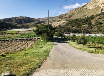 Terreno / Lote · 15738m² · Venta Terreno Plano Cerca a Guayllabamba. 15.000 m² a $35 m²