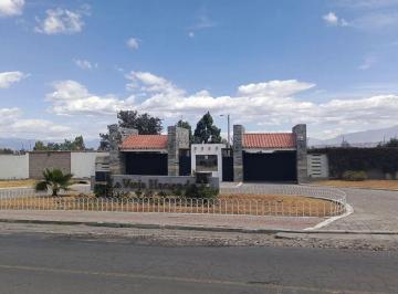 Terreno / Lote , Pedro Moncayo · Terreno en Venta - Malchingui