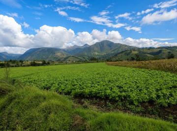 Terreno / Lote · 650000m² · Hacienda Agrícola en Venta | 65 Hectáreas – Imbabura